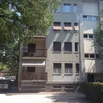 Rent 3 bedroom apartment of 100 m² in Trento