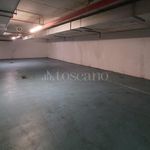 Rent 1 bedroom apartment of 20 m² in Milano