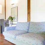 Rent 1 bedroom apartment in Florence