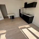 Rent 1 bedroom apartment in Brussels