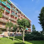 Rent 2 bedroom apartment of 68 m² in Borgaro Torinese