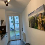 Rent 1 bedroom apartment of 40 m² in Chemnitz