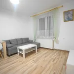 Rent 1 bedroom apartment of 33 m² in Zabrze, Władysława Orkana