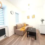 Rent 1 bedroom apartment of 25 m² in Chorzów