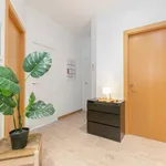 Rent 4 bedroom apartment in Barcelona