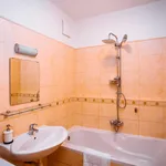 Rent 1 bedroom apartment of 60 m² in Prague