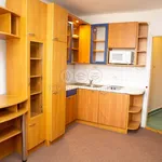 Rent 1 bedroom apartment of 30 m² in Jindřichův Hradec