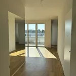 Rent 2 bedroom apartment of 68 m² in Brühl