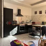 Rent 3 bedroom apartment of 80 m² in Verona