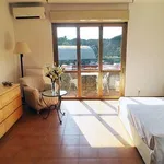 Rent 1 bedroom apartment of 35 m² in Roma