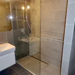 Pronajměte si 2 ložnic/e byt o rozloze 55 m² v Prague