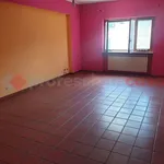 Rent 1 bedroom apartment of 140 m² in Ceprano