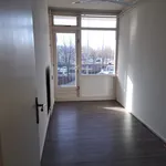 Huur 2 slaapkamer appartement van 75 m² in Rotterdam