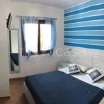 Rent 3 bedroom apartment of 70 m² in Olbia