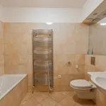 Pronajměte si 6 ložnic/e dům o rozloze 305 m² v Prague