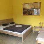 Rent 1 bedroom apartment of 50 m² in Prague