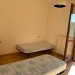 Rent 3 bedroom apartment of 80 m² in Urbino