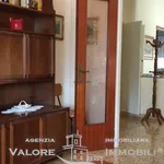 Rent 3 bedroom apartment of 65 m² in Livorno