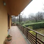 Rent 2 bedroom apartment of 180 m² in Fiano