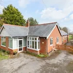 Detached bungalow to rent in Gables, Stodmarsh Road, Canterbury CT3