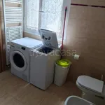 Rent 2 bedroom apartment of 45 m² in Bologna