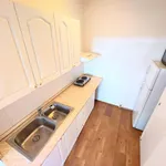 Rent 2 bedroom apartment of 42 m² in Praha