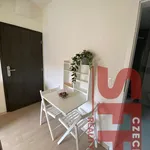 Rent 1 bedroom apartment of 18 m² in Prague