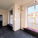 Rent 2 bedroom apartment in Hodonín