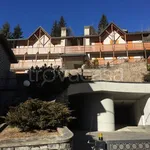 Rent 2 bedroom apartment of 90 m² in Ponte di Legno