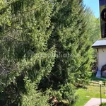 3-room flat via Riccardo Paletti 131, San Pietro, Corteno Golgi