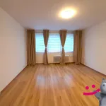 Rent 1 bedroom apartment in Teplice