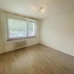 Rent 1 bedroom apartment in Brno