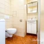 Rent 1 bedroom apartment in Praha 4