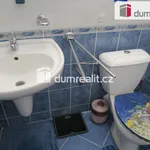 Rent 1 bedroom apartment of 40 m² in Zlín