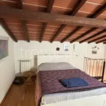 Rent 1 bedroom apartment of 50 m² in Pisa