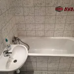 Rent 2 bedroom apartment of 36 m² in Ostrava