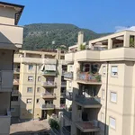 Rent 2 bedroom apartment of 55 m² in Cassino