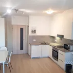 Rent 1 bedroom apartment in Praha 9