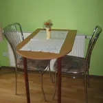 Rent 1 bedroom apartment of 45 m² in Postřelmov