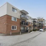 Rent 1 bedroom apartment in Sarnia