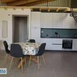 Rent 1 bedroom apartment of 50 m² in Turin