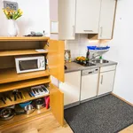 Miete 1 Schlafzimmer wohnung in Vienna