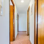 Rent 5 bedroom apartment in Valencia