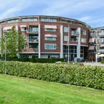 Rent 3 bedroom apartment of 85 m² in Soest