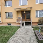 Pronájem bytu 1+1 35m²