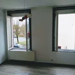 Rent 2 bedroom house of 20 m² in Mons