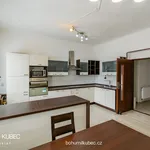 Rent 3 bedroom apartment of 85 m² in Tábor