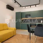 Rent 1 bedroom apartment of 45 m² in Split