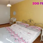 Pronajměte si 3 ložnic/e byt o rozloze 67 m² v České Budějovice