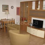 Rent 3 bedroom apartment of 90 m² in Rozzano